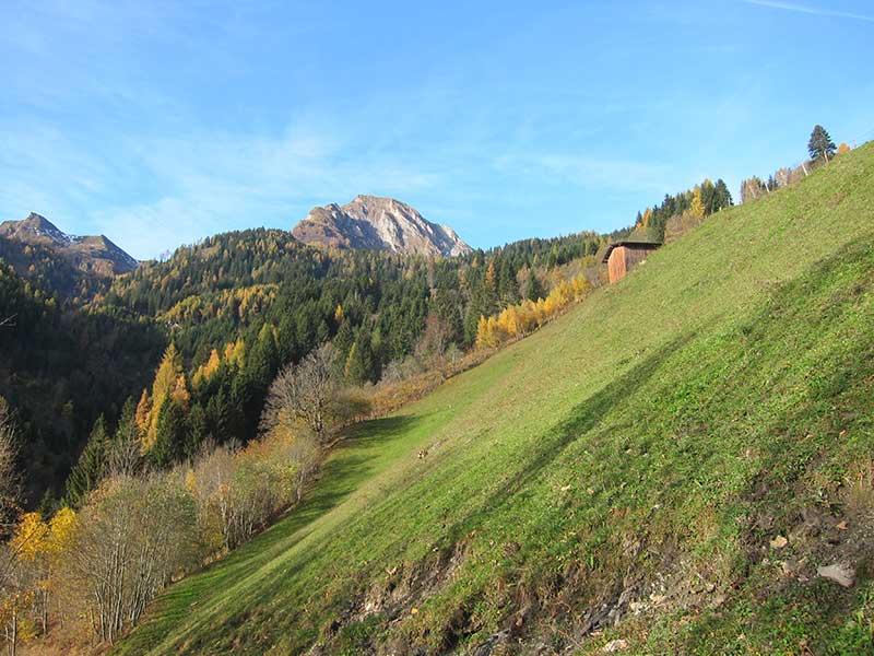 Bernkogel